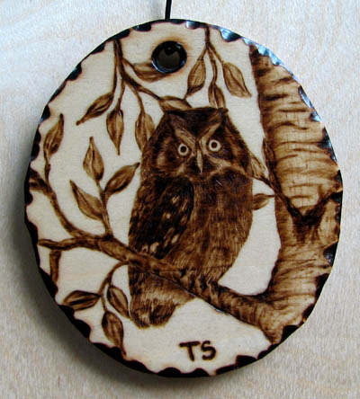 boral tengmalm's owl tanja sova pyrogaphy